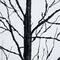 8ft. Pre-Lit Halloween Black Twig Artificial Tree with 510 Orange & Purple LED Lights